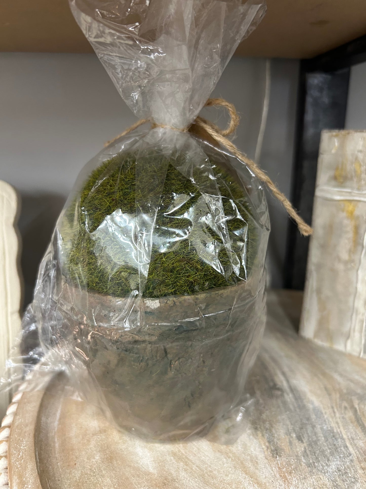 The Porch Raz 4” Moss Pot