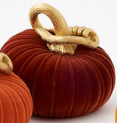 180 Flocked Pumpkin w/Curly Stem