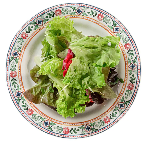 Juliska Heidi Salad/Dessert Plate
