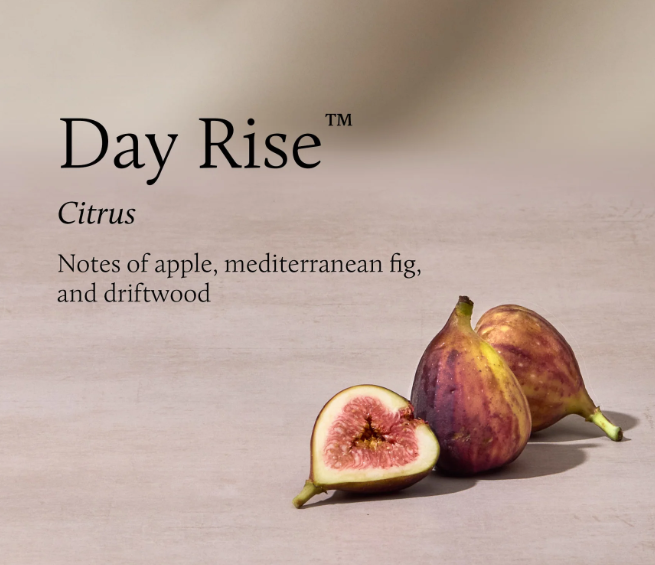 Thymes Day Rise Home Fragrance Mist