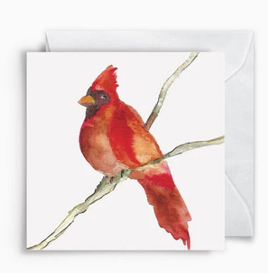 Anne Neilson Cardinal Enclosure Cards