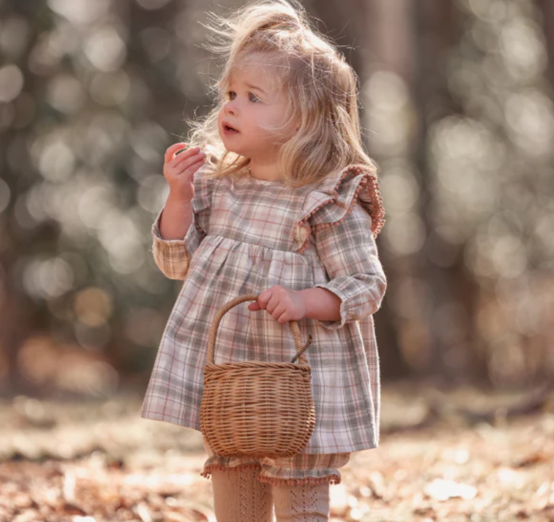 Elegant Baby Plaid Ruffle Shoulder Dress & Bloomer Set
