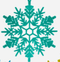 180 Flocked Snowflake Ornament