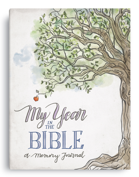 Harvest House My Year in the Bible