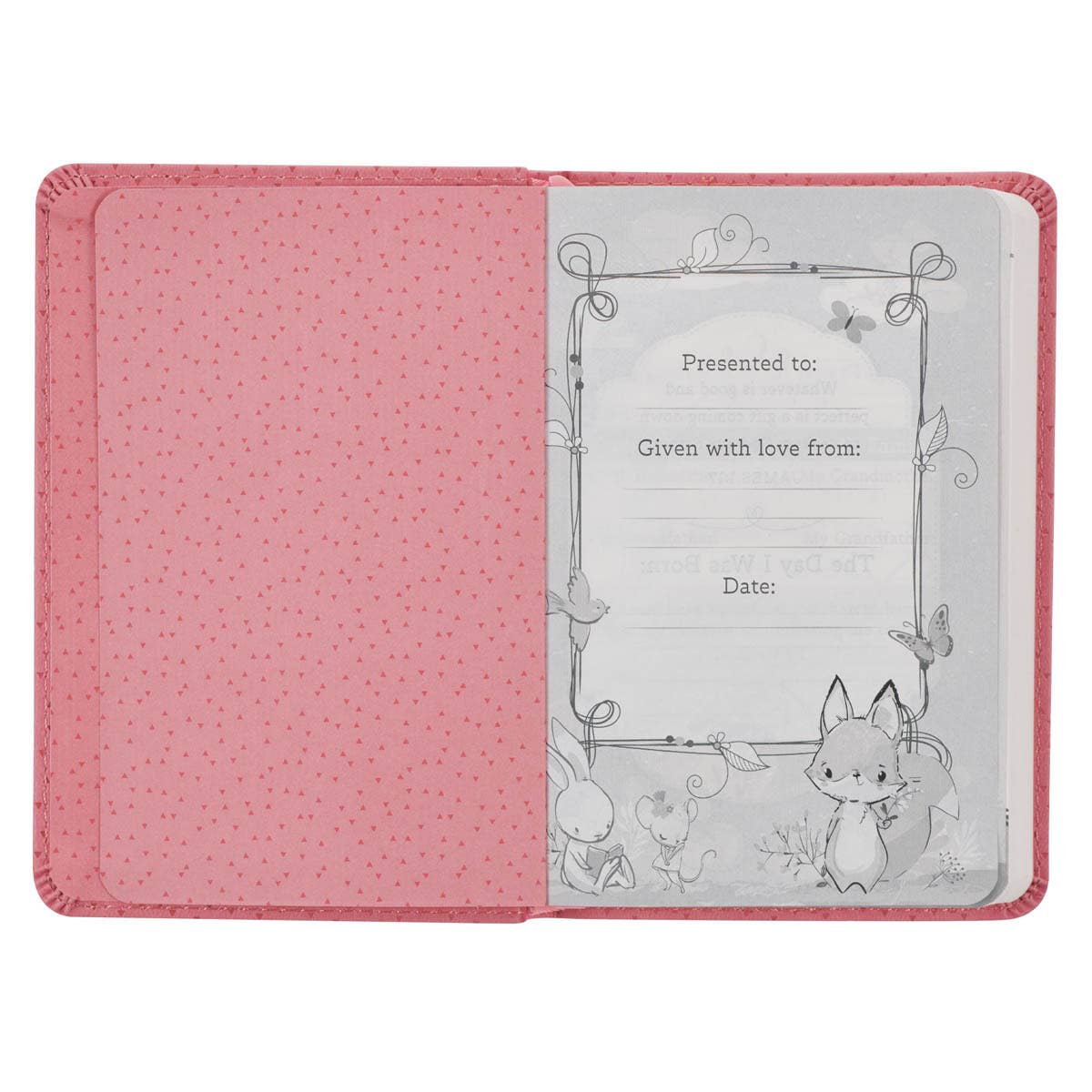 The Porch Bible NLT Infant New Testament Faux leather, Pink