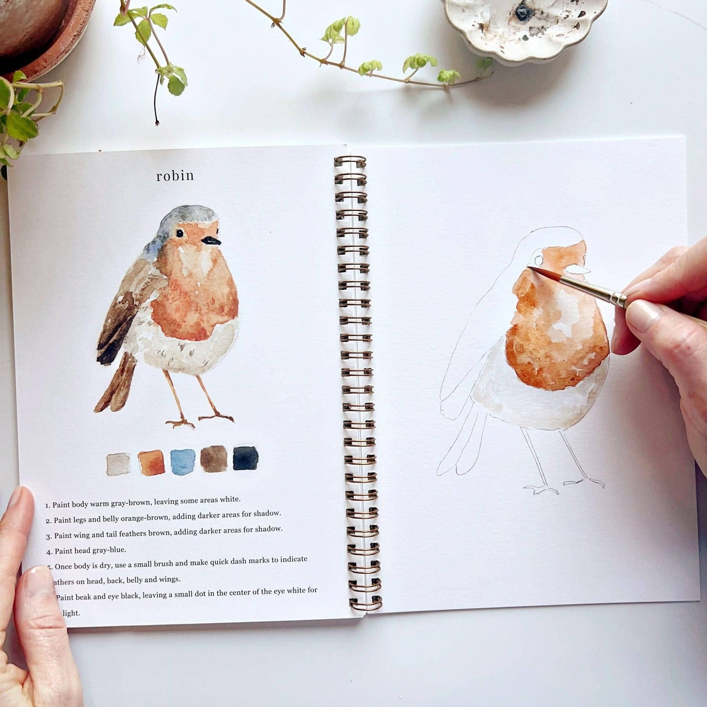 The Porch Birds watercolor workbook