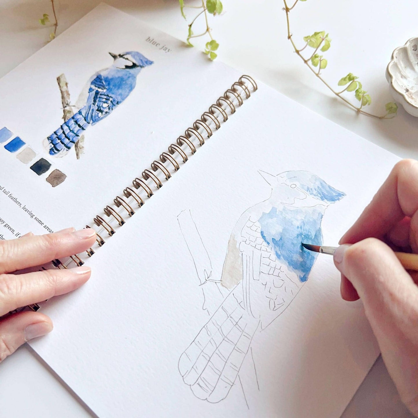 The Porch Birds watercolor workbook
