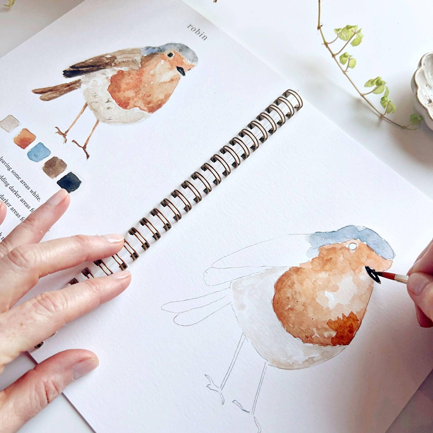 The Porch Birds watercolor workbook