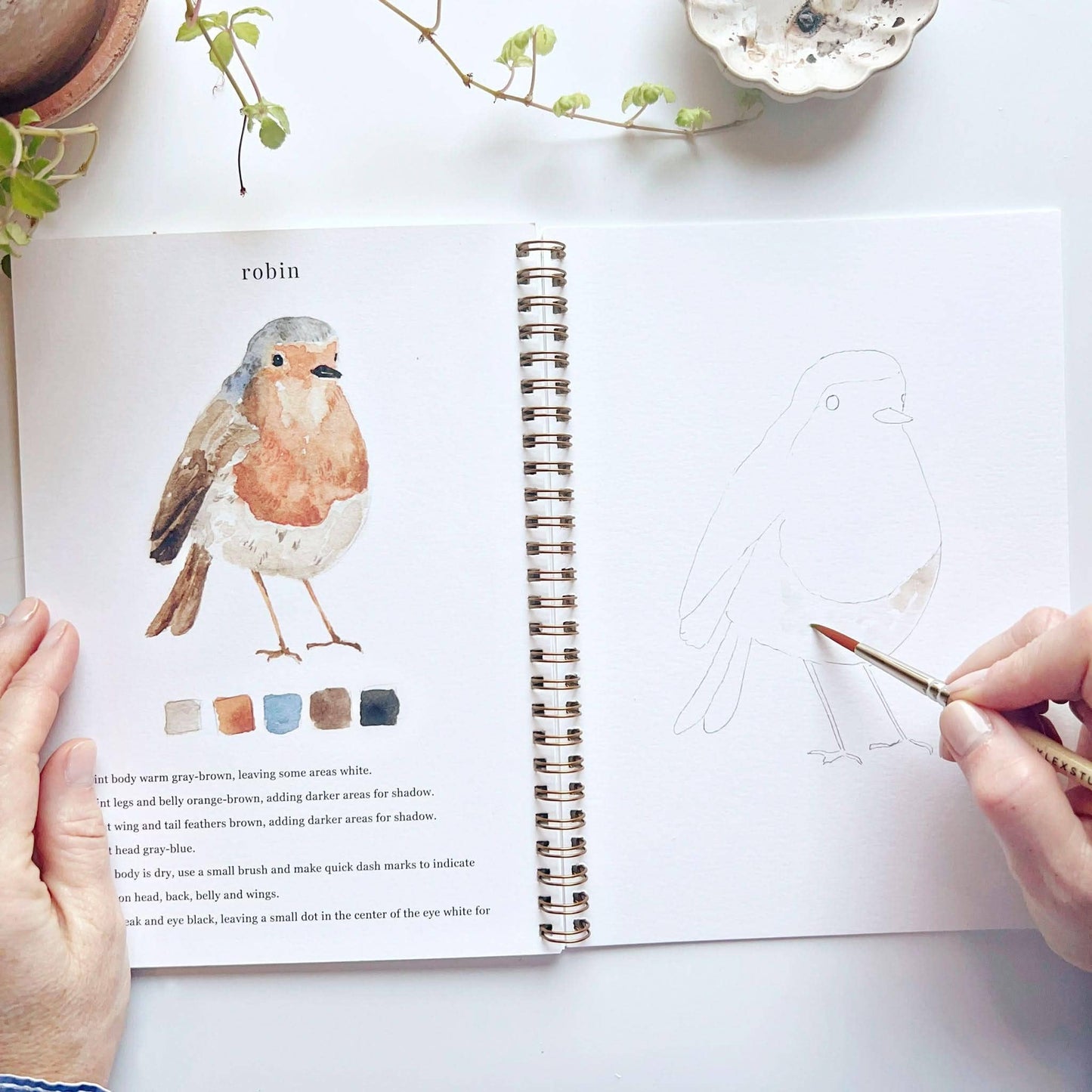 The Porch Birds watercolor workbook