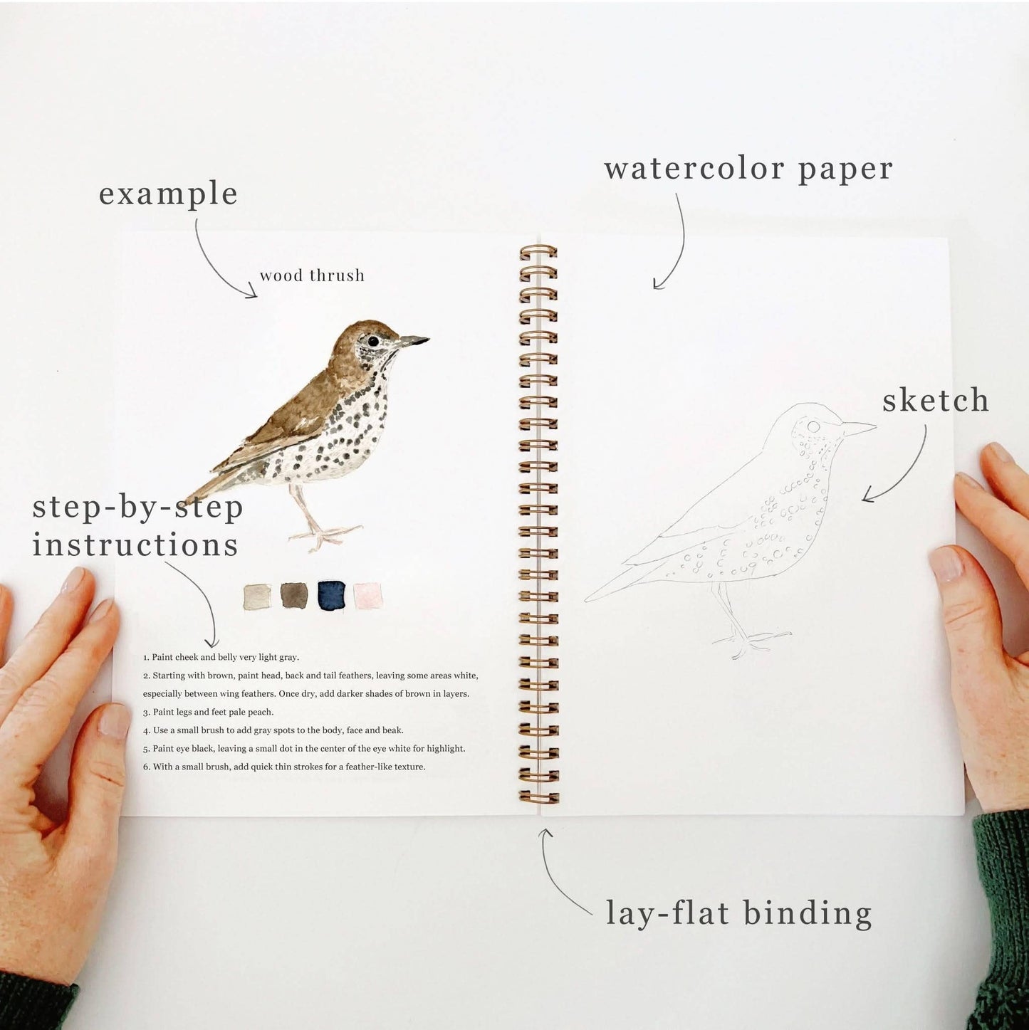 The Porch Birds watercolor workbook