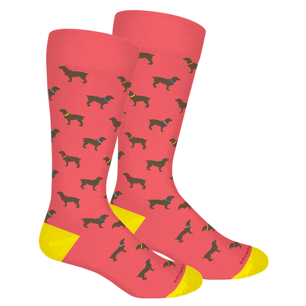 Brown Dog Rylee Dubarry Socks