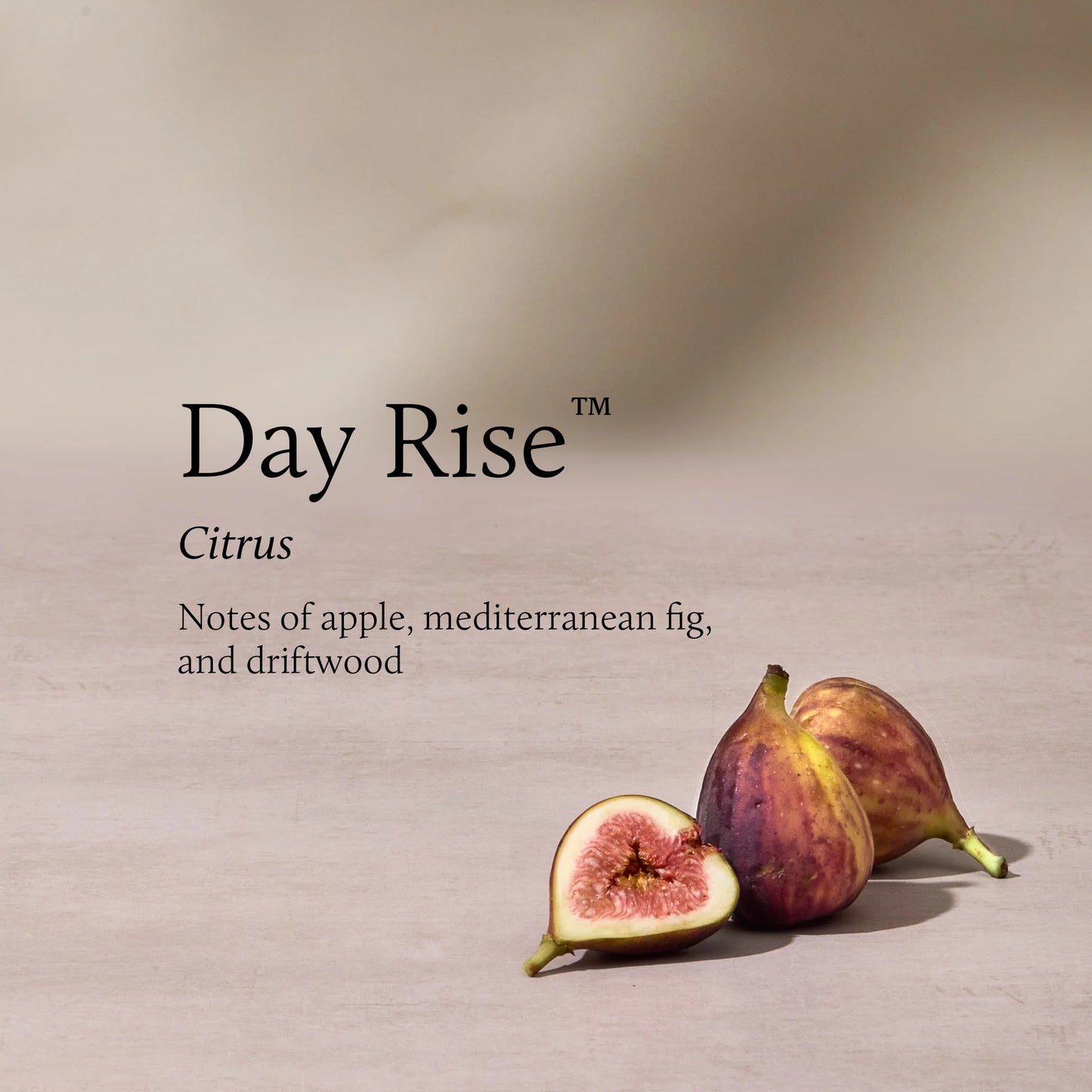Thymes Day Rise 6.5 oz Poured Candle