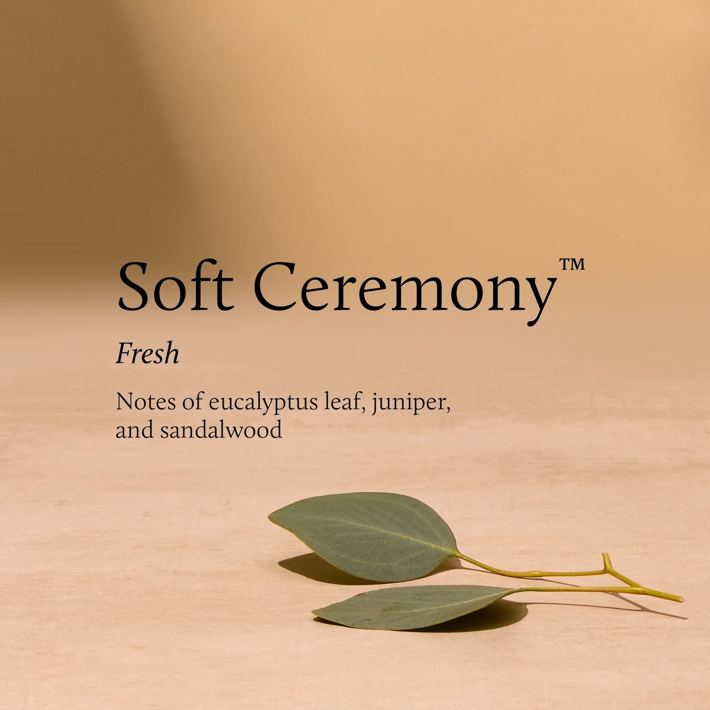 Thymes Soft Ceremony 6.5 oz Poured Candle