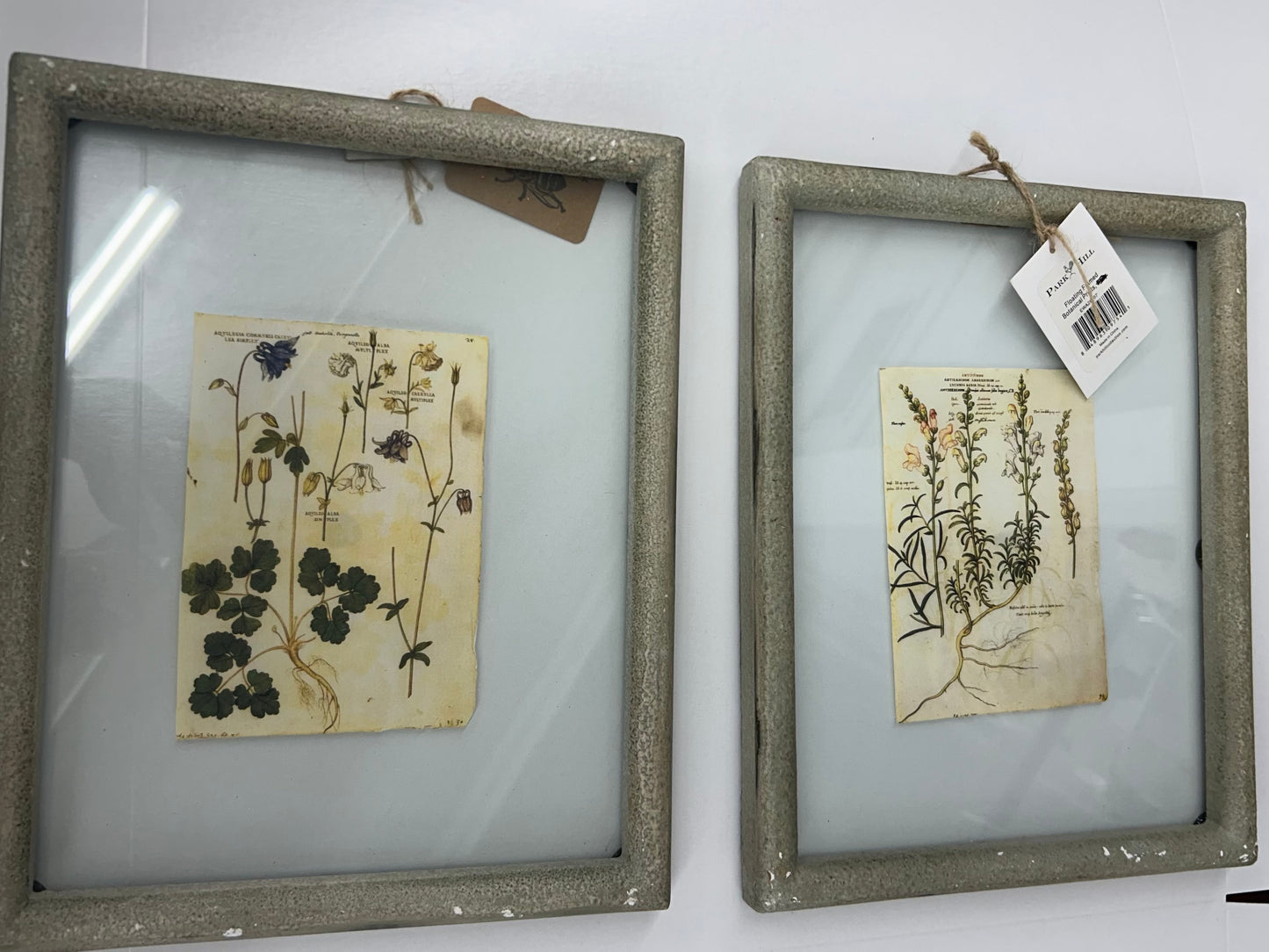 The Porch Park Hill Collection Floating Frame Glass Matted Botanicals