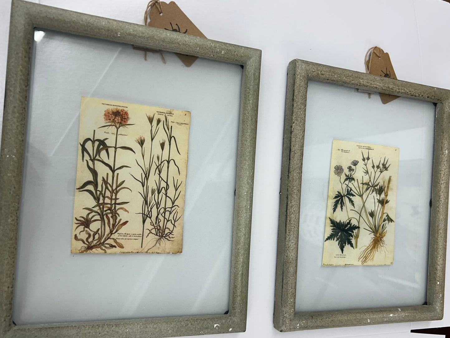 The Porch Park Hill Collection Floating Frame Glass Matted Botanicals