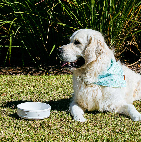 Juliska Berry & Thread Pet Bowl - Whitewash