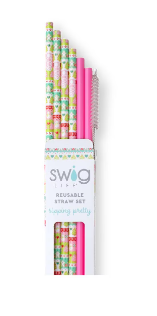 Swig Reusable Straw Set