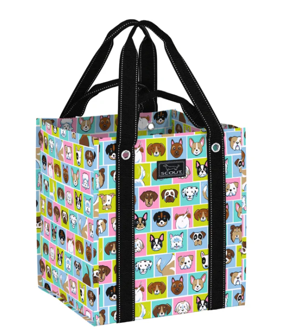 Scout Andy Warhowl Bagette Market Tote