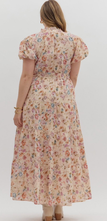 Rosewood Meadow Maxi Plus Dress