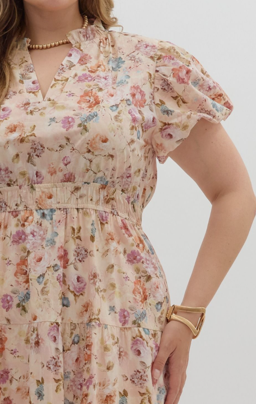 Rosewood Meadow Maxi Plus Dress
