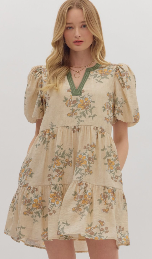 Entro Golden Fields Mini Dress