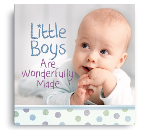 Harvest House Little Boys Are Wonderfully Made