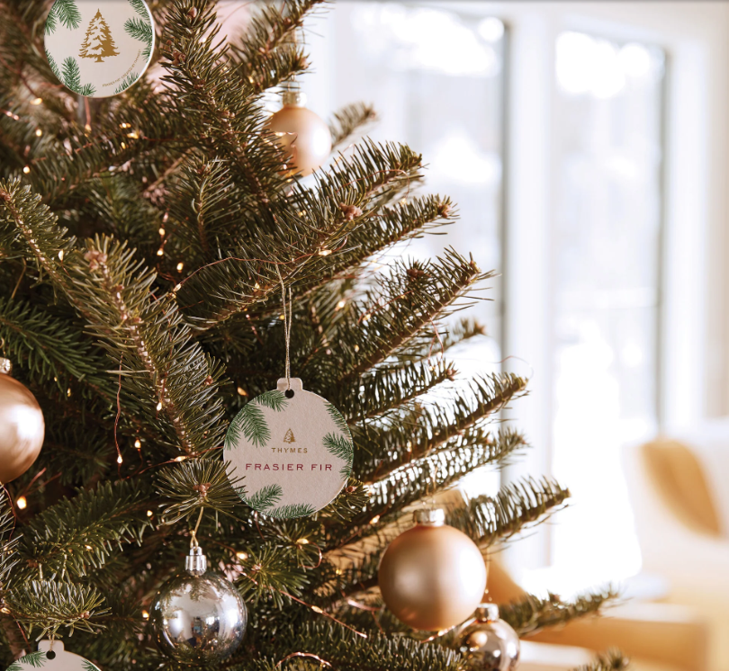 Thymes Frasier Fir® Decorative Sachet