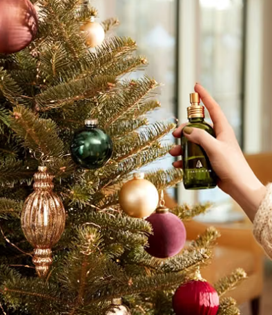 Thymes Frasier Fir Tree and Room Spray
