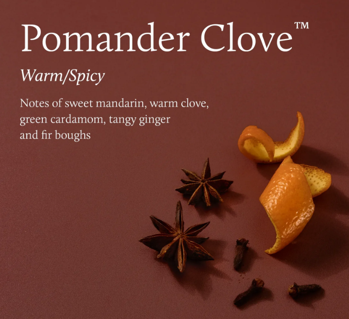 Thymes Pomander Clove Petite Reed Diffuser