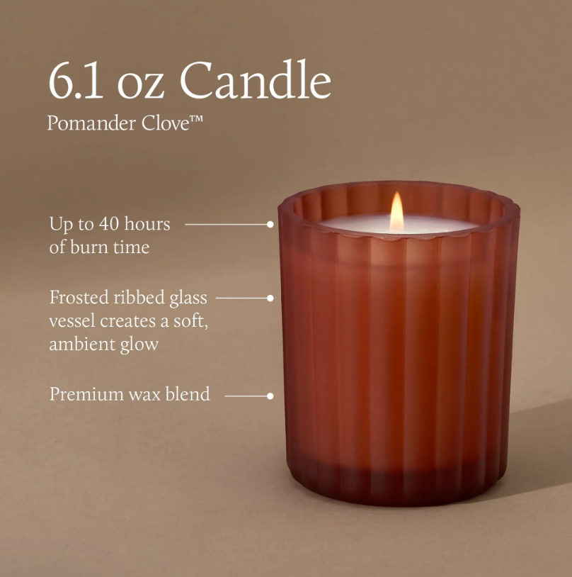 Thymes Pomander Clove Poured Candle
