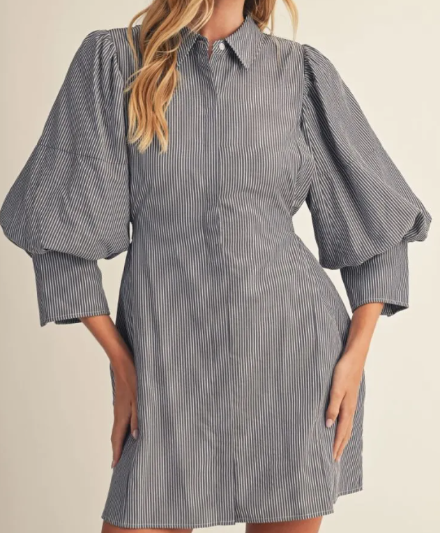 Monroe Denim Dress