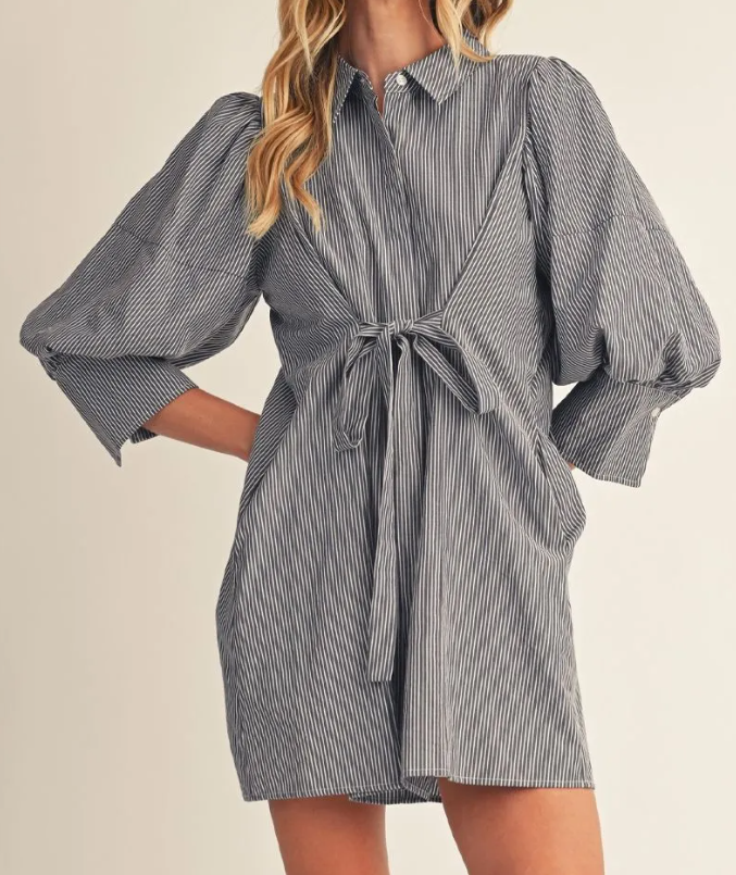 Monroe Denim Dress