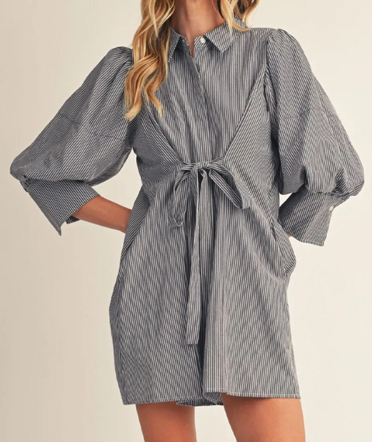 Monroe Denim Dress
