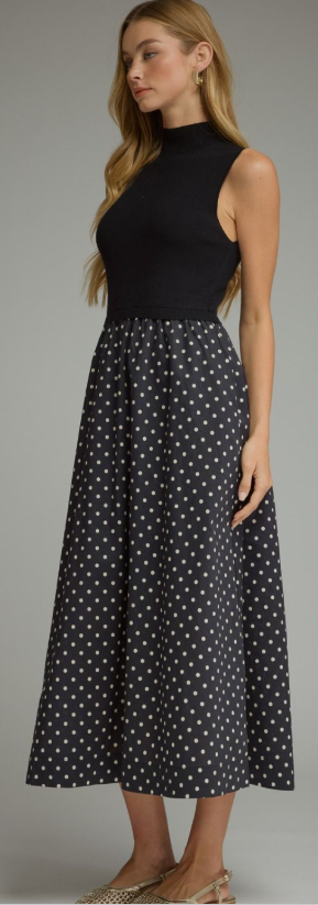 Blair Polka Dot Dress