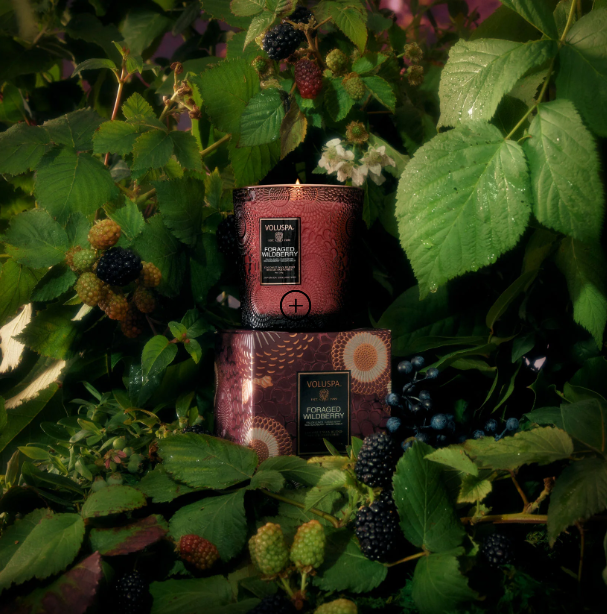 Voluspa Foraged Wildberry Classic Candle