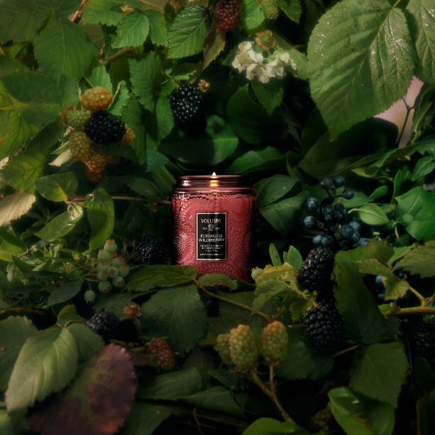 Voluspa Foraged Wildberry Candle (Small Jar)