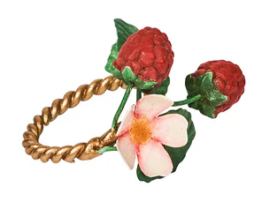 Meadow Walk Floral Napkin Ring Assorted Set/4 - Multi