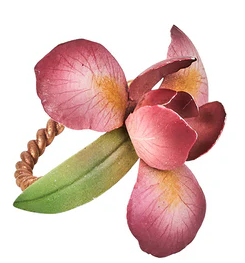Meadow Walk Floral Napkin Ring Assorted Set/4 - Multi