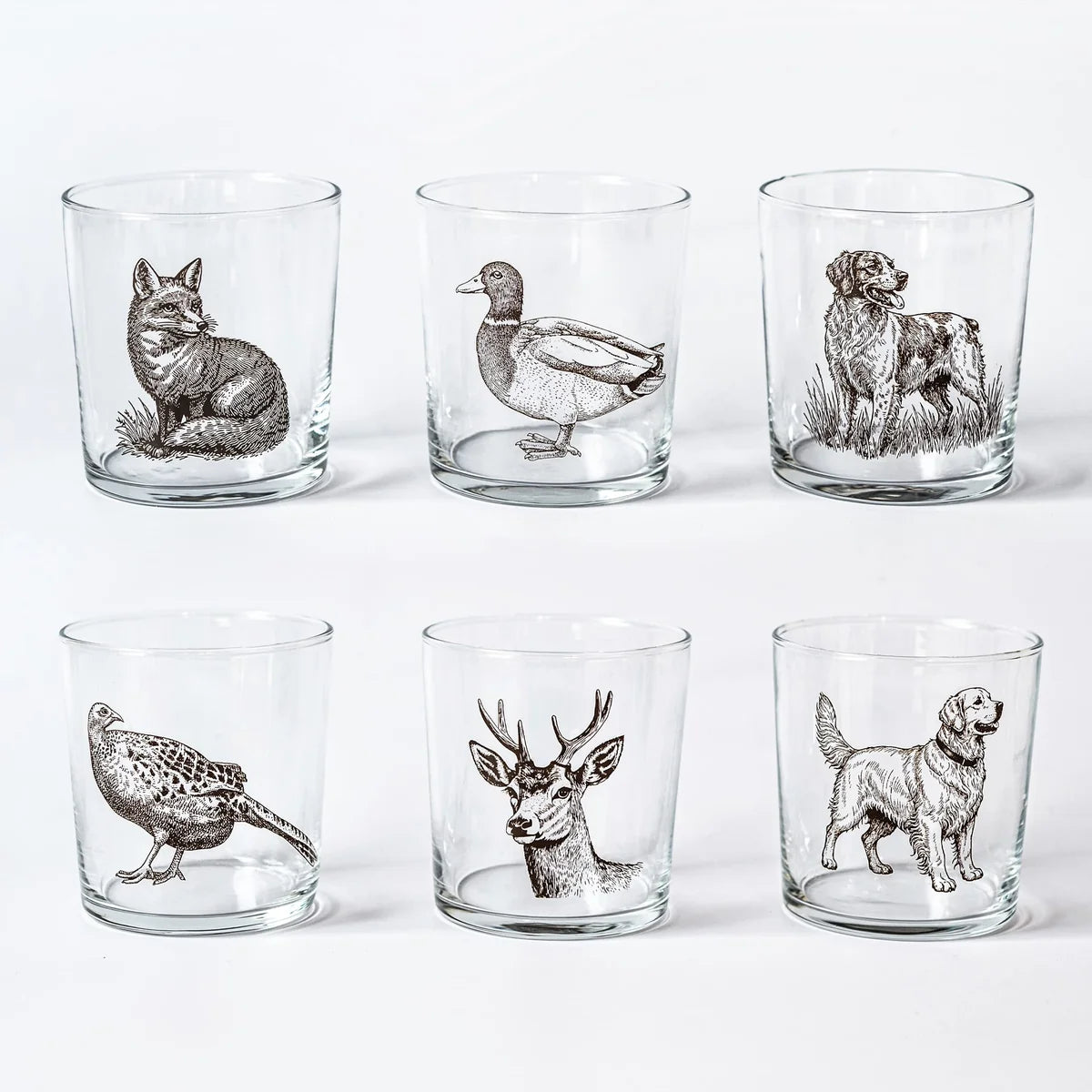 Vietri Wildlife Assorted Tumblers Set of 6