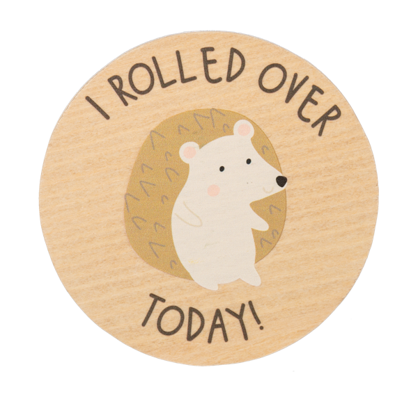 Ganz Wooden Milestone Photo Props