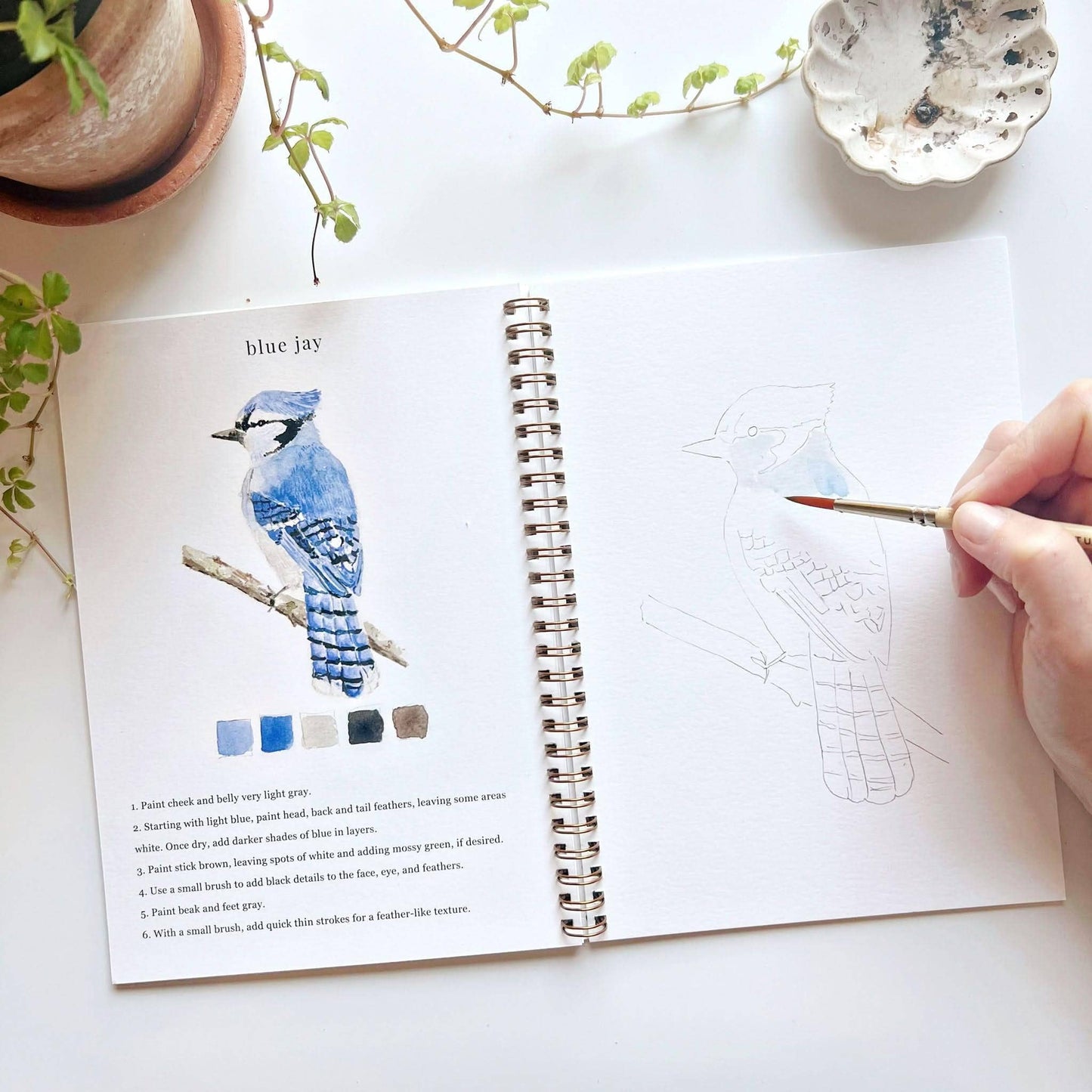 The Porch Birds watercolor workbook