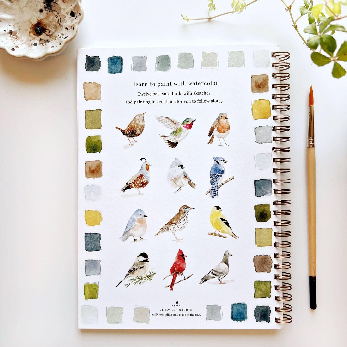 The Porch Birds watercolor workbook