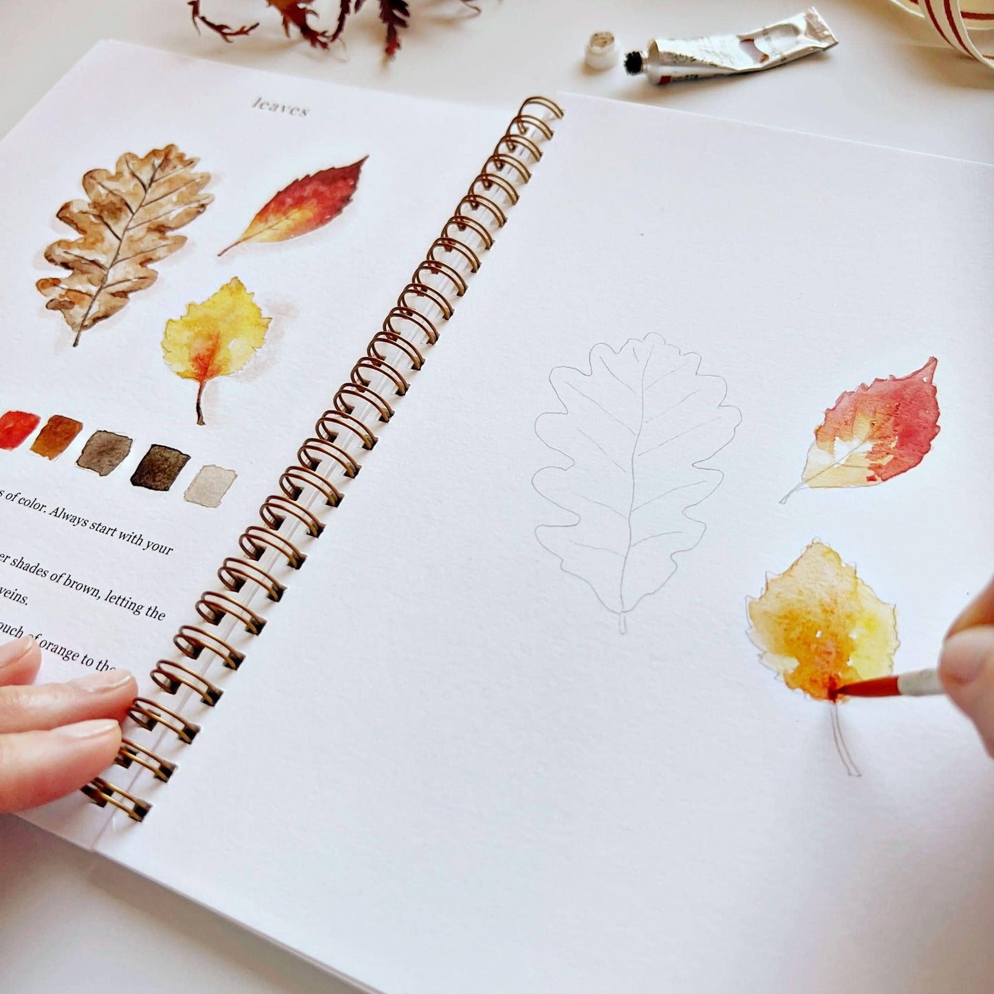 The Porch Autumn watercolor workbook