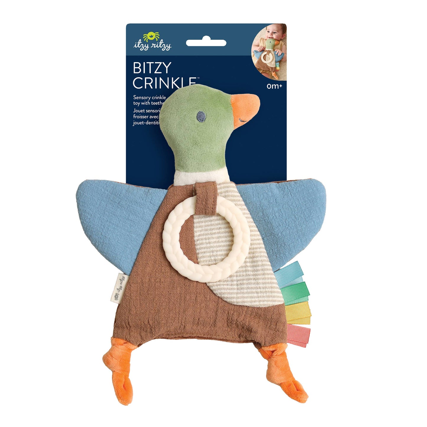 *The Porch NEW* Mallard Duck Bitzy Crinkle™