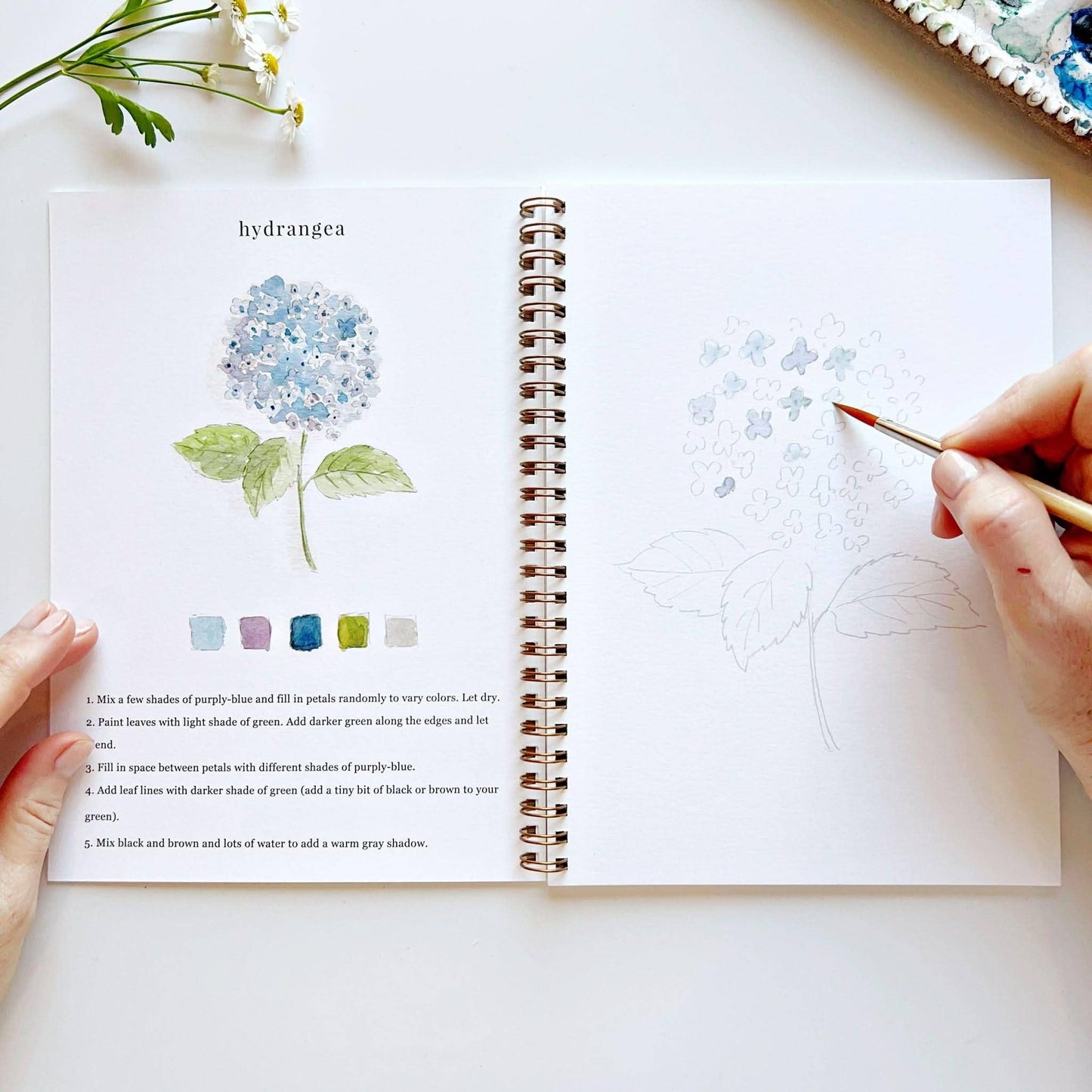 The Porch Flowers watercolor workbook